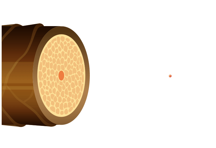 ナノサイズ