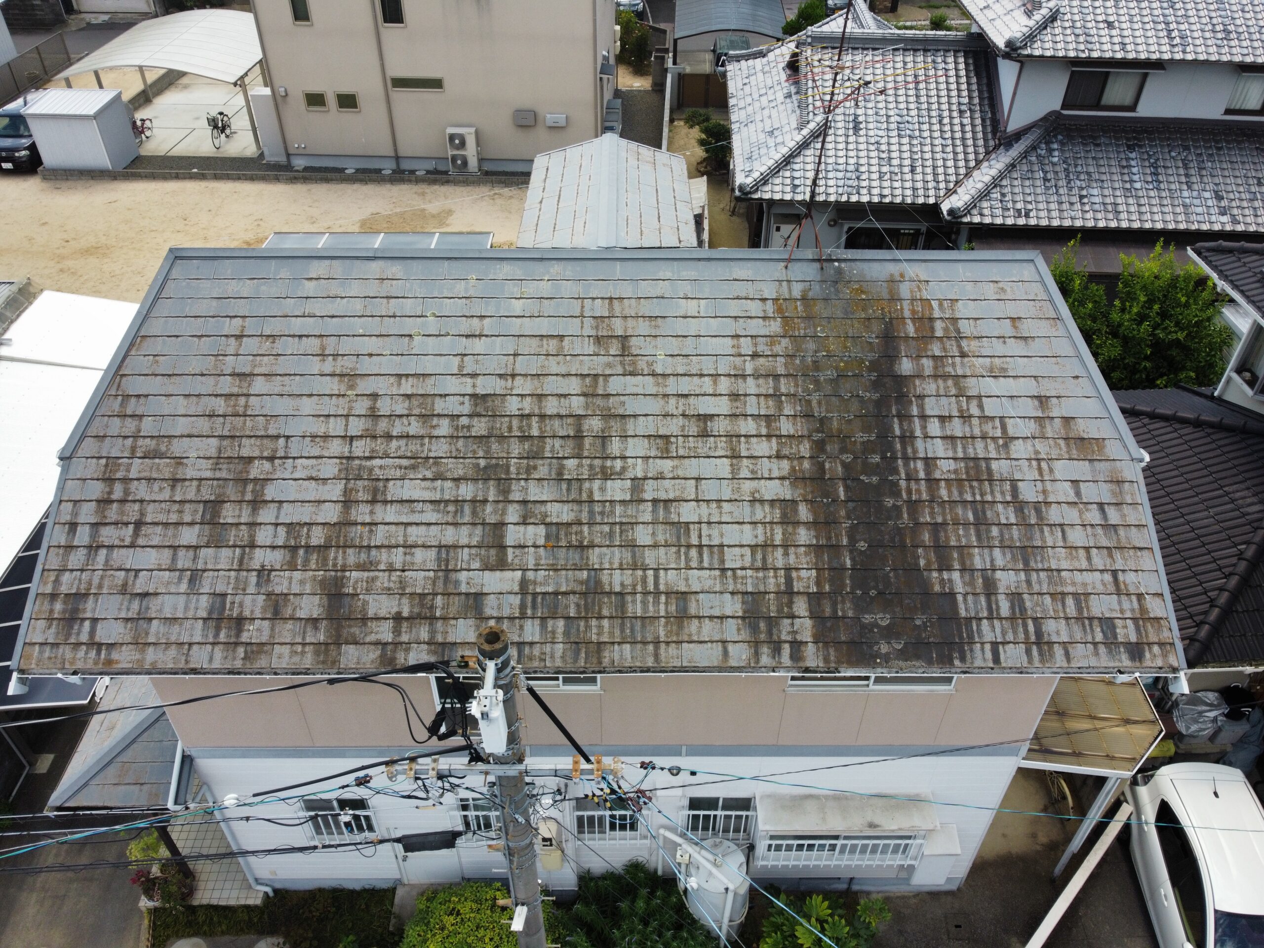 調査写真