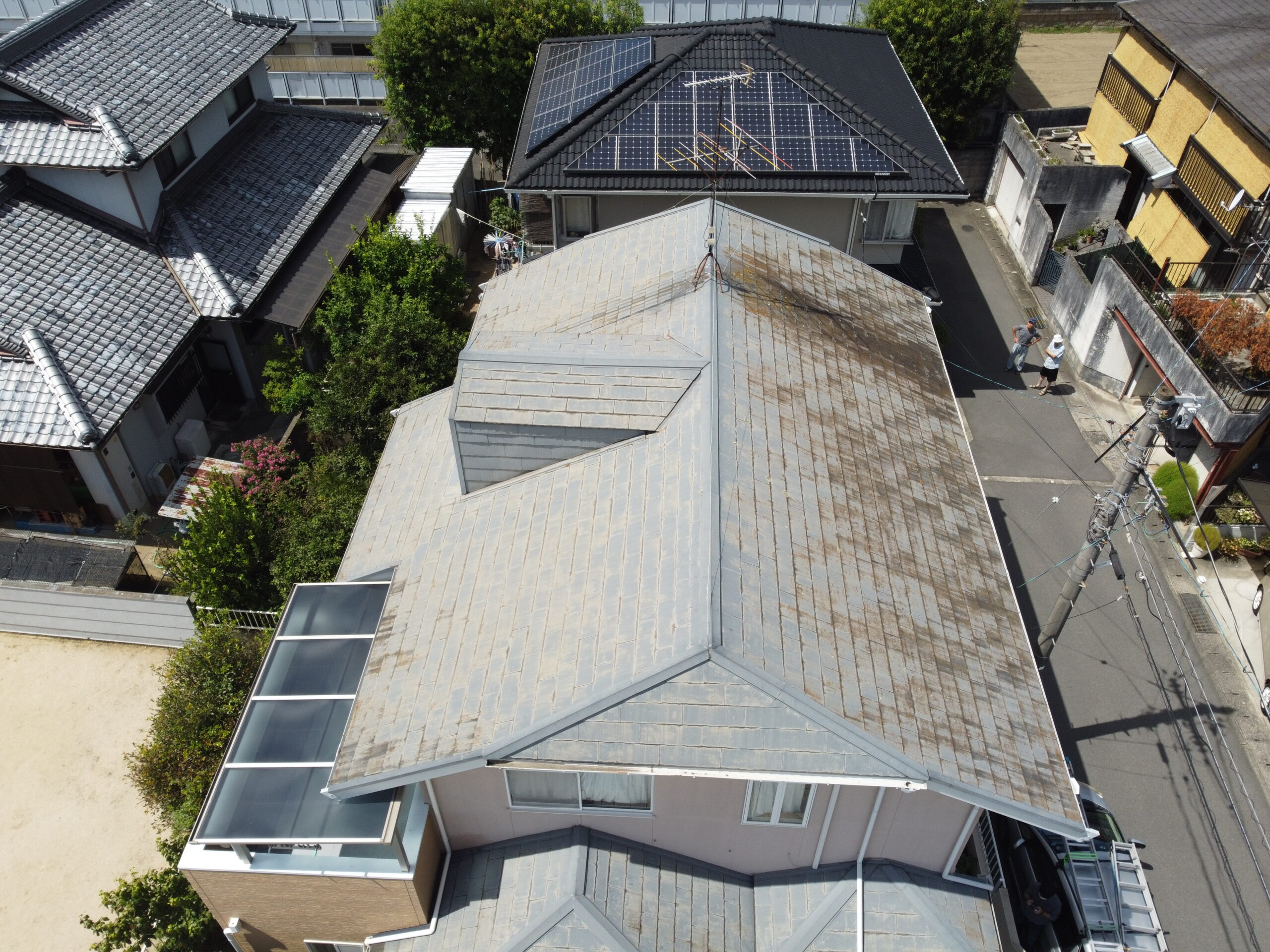 調査写真